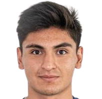 E.馬丁內(nèi)斯