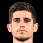 斯特凡內(nèi)利