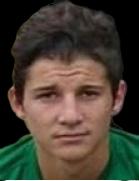 達(dá)利亞諾普洛斯