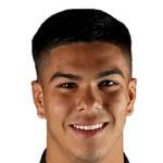 費(fèi)爾南德斯